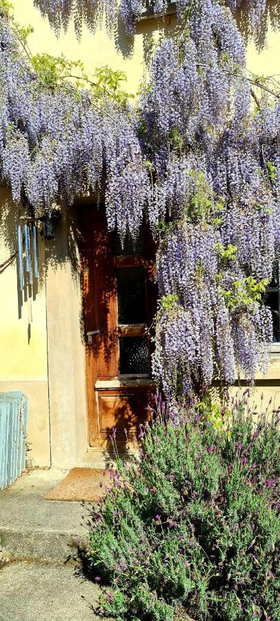 La Maison Des Tisserandes Montségur Esterno foto